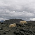 522 Landmannalaugar.jpg